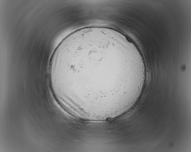 X0000116481487201001061109