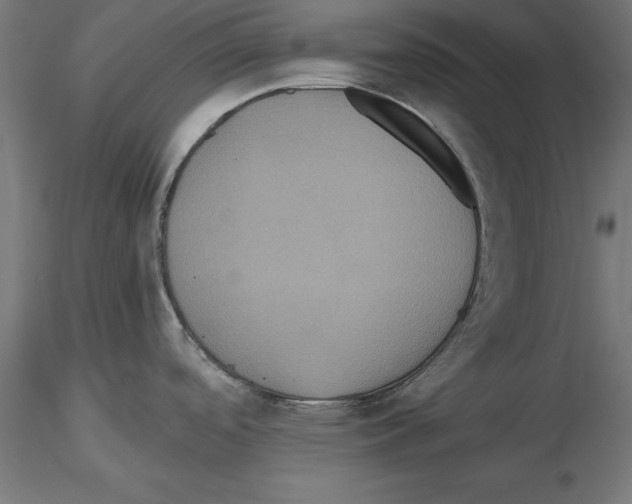 X0000116481488201001061109