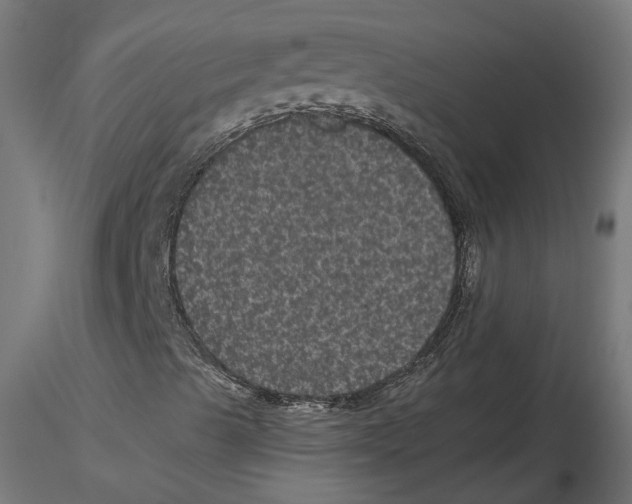 X0000116481489201001061109