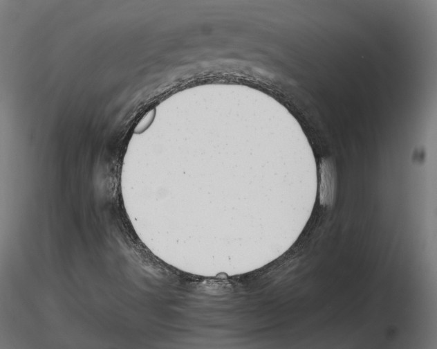 X0000116481491201001061109