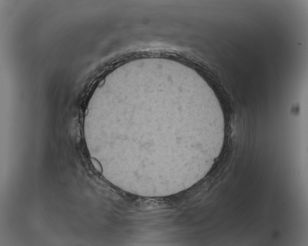 X0000116481493201001061109