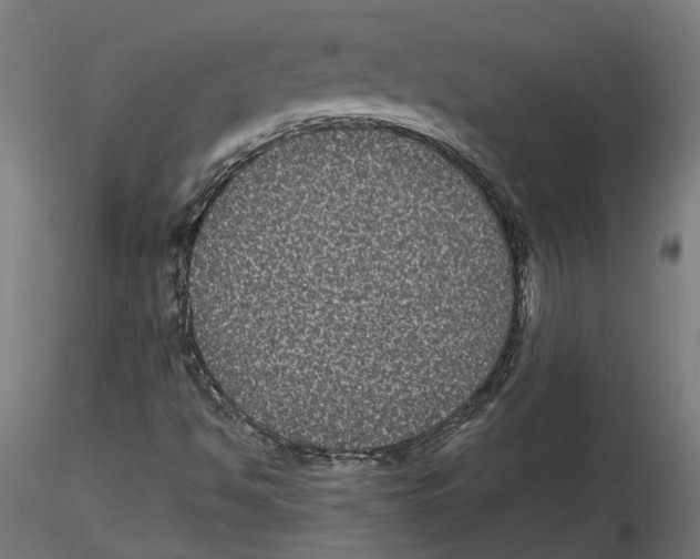 X0000116481494201001061109