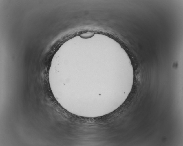 X0000116481495201001061109