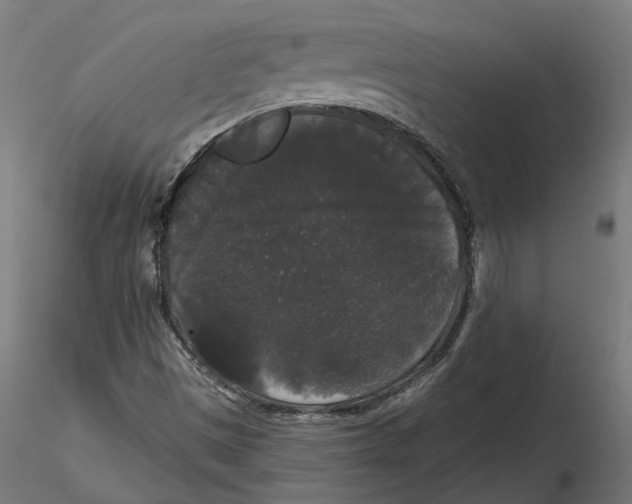 X0000116481497201001061109