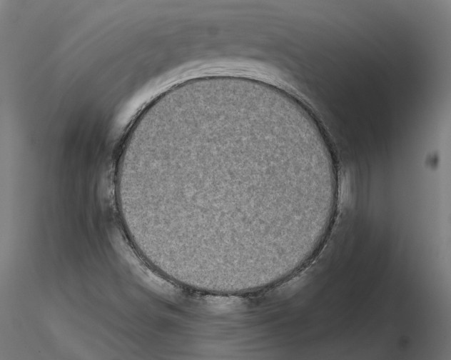 X0000116481498201001061109