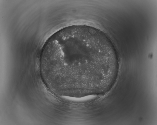 X0000116481505201001061109