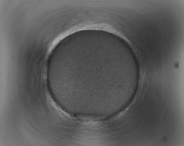 X0000116481506201001061109