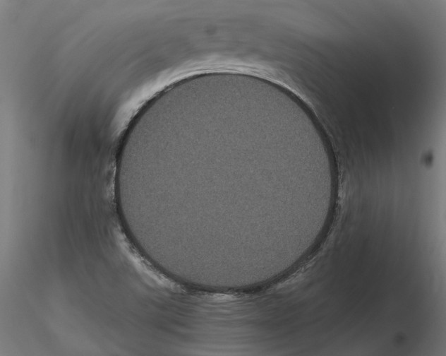 X0000116481507201001061109