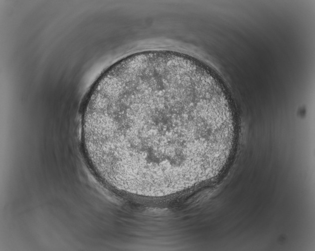 X0000116481509201001061109