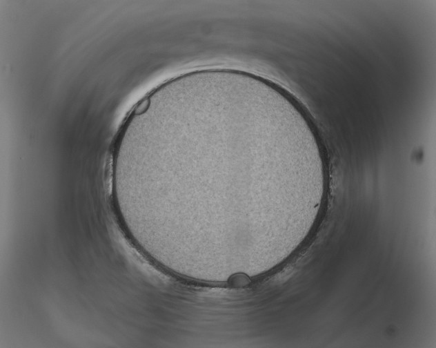 X0000116481510201001061109