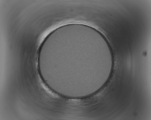 X0000116481511201001061109