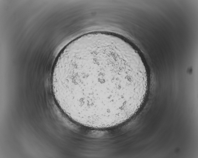 X0000116481513201001061109