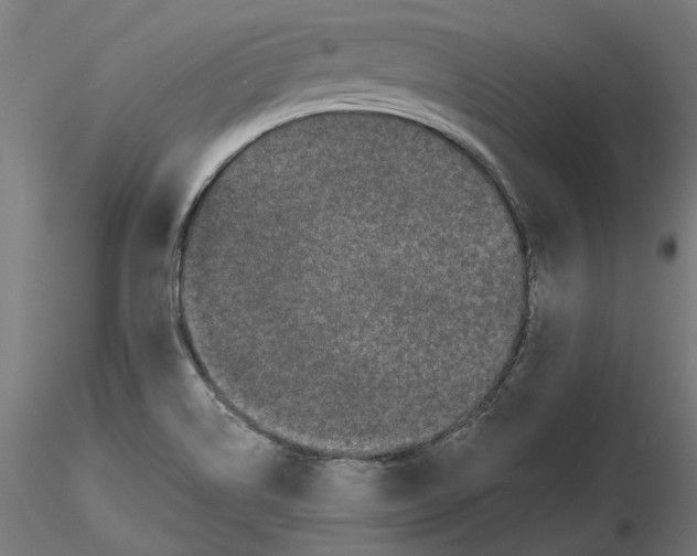 X0000116481514201001061109