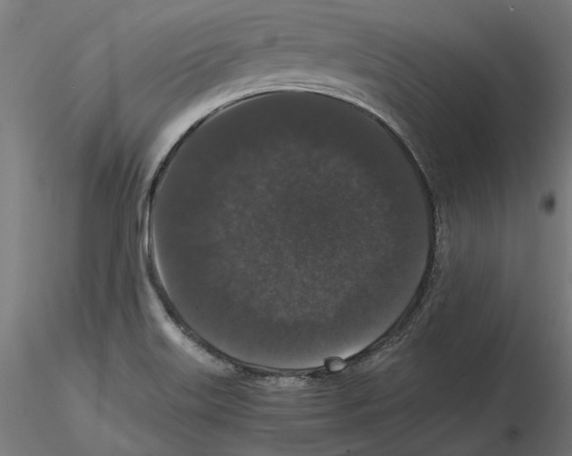 X0000116481515201001061109