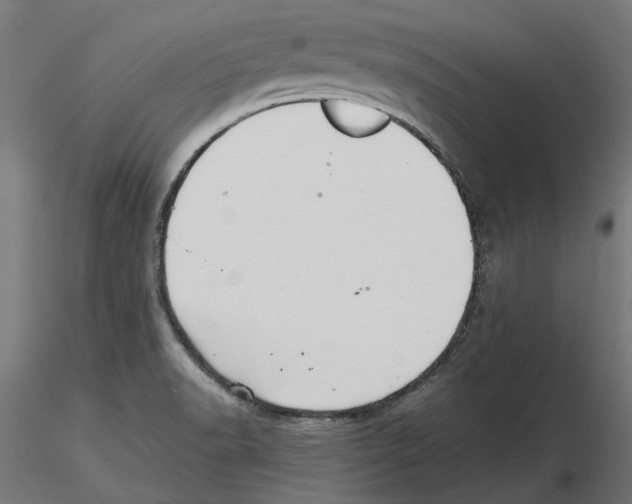 X0000116481518201001061109