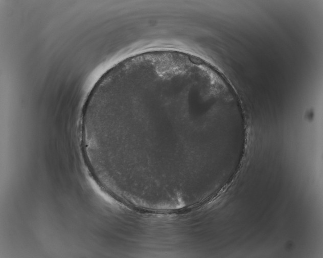 X0000116481519201001061109