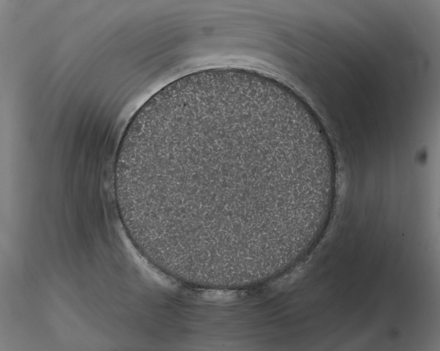 X0000116481521201001061109