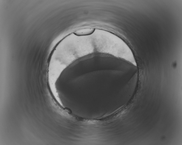 X0000116481522201001061109