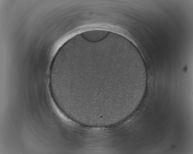 X0000116481523201001061109