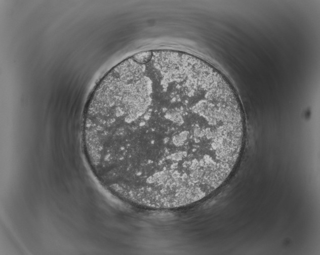 X0000116481525201001061109