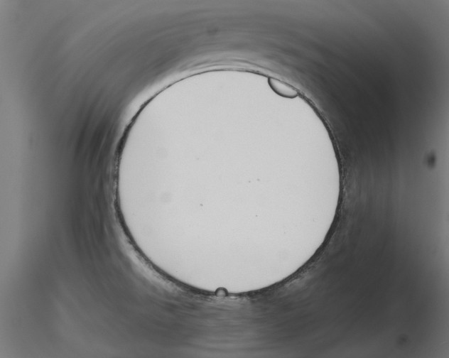 X0000116481526201001061109