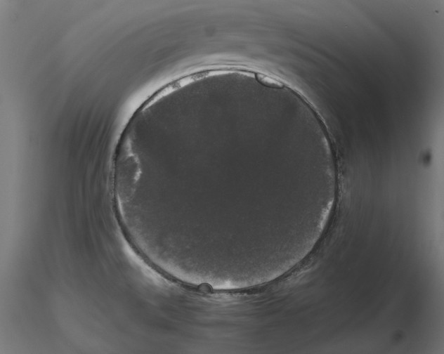 X0000116481527201001061109