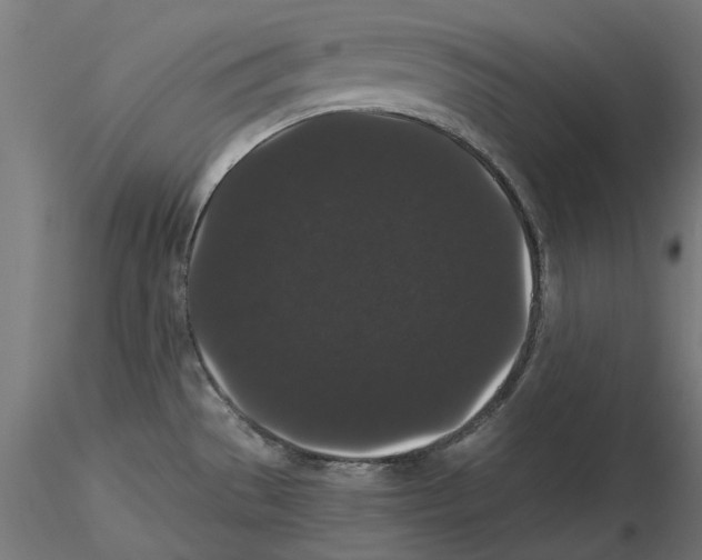 X0000116481529201001061109