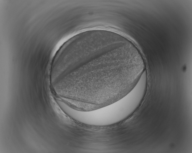 X0000116481530201001061109