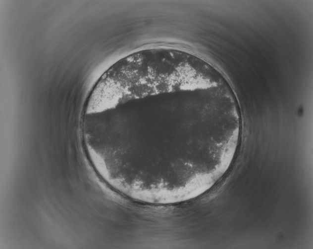 X0000116481533201001061109