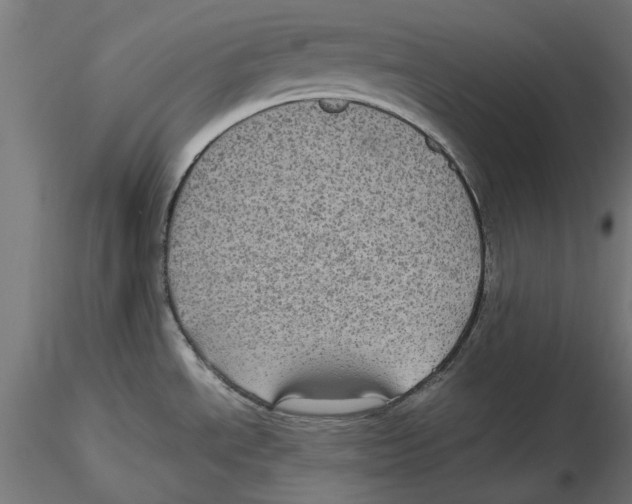 X0000116481534201001061109