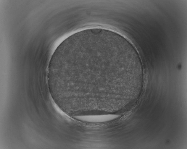 X0000116481535201001061109