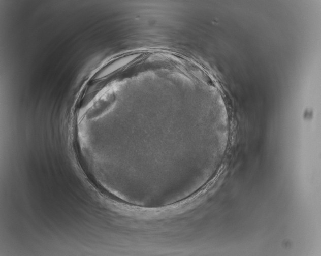 X0000116480002201001201352