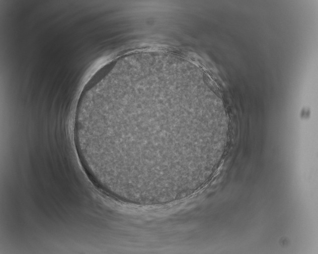 X0000116480003201001201352