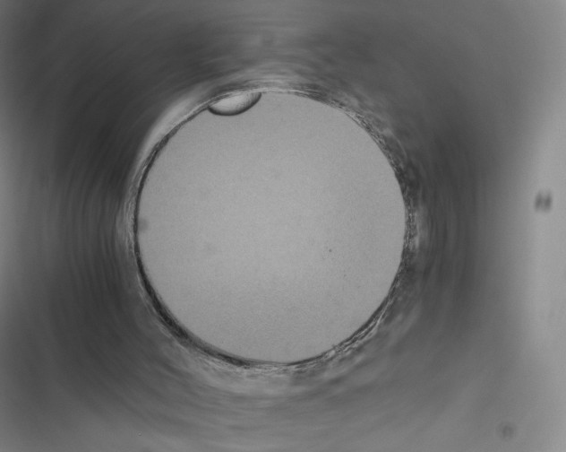 X0000116480004201001201352