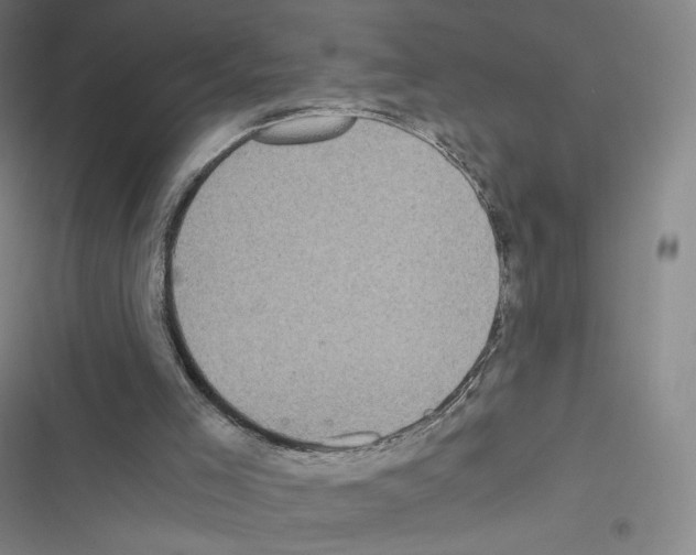 X0000116480005201001201352