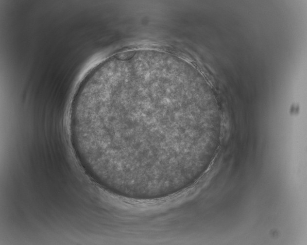 X0000116480006201001201352
