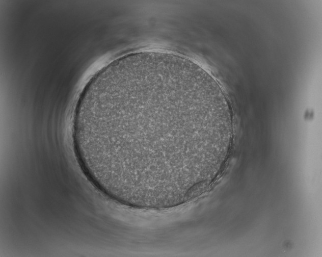 X0000116480007201001201352
