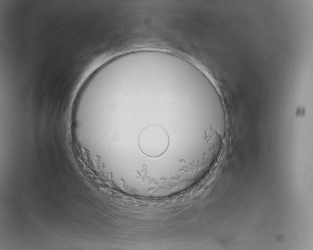 X0000116480008201001201352