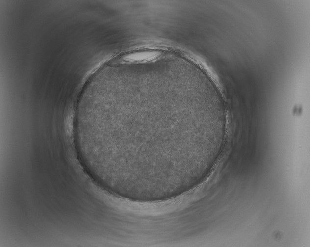 X0000116480010201001201352