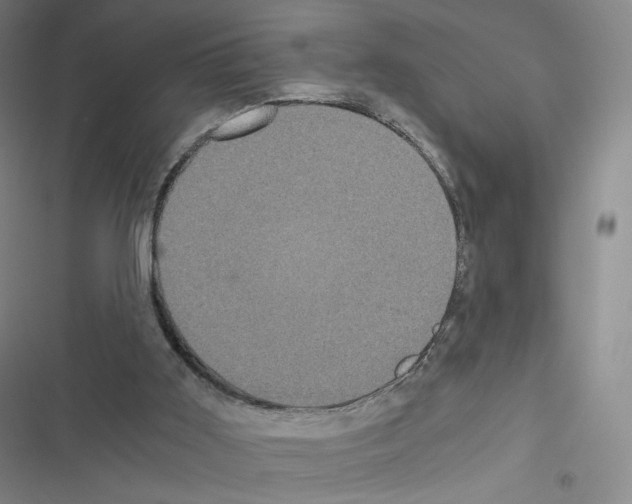 X0000116480011201001201352
