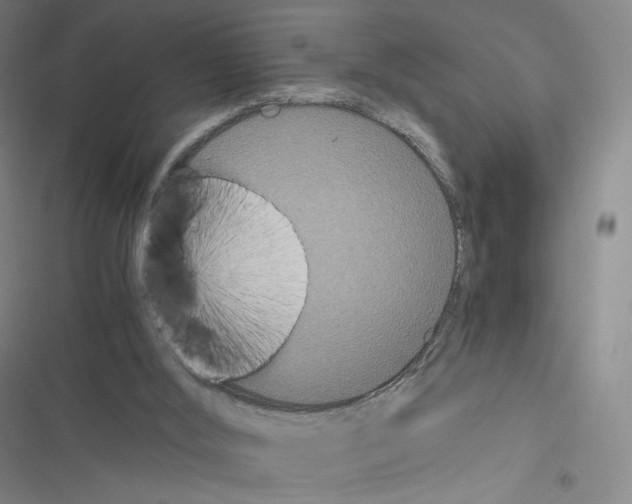 X0000116480012201001201352