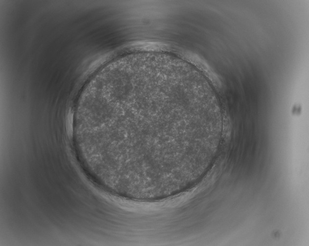 X0000116480014201001201352
