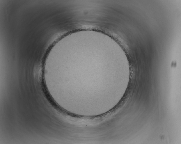 X0000116480016201001201352