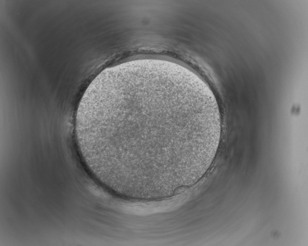 X0000116480017201001201352