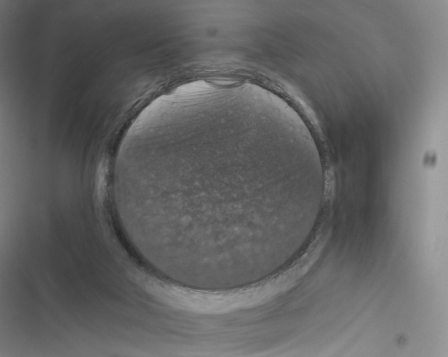 X0000116480018201001201352