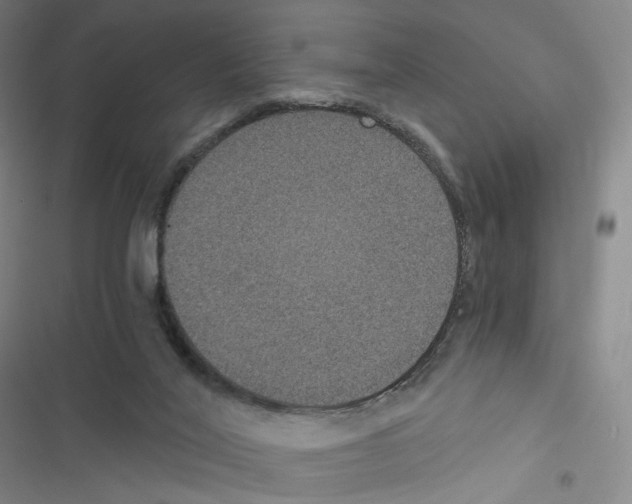 X0000116480020201001201352