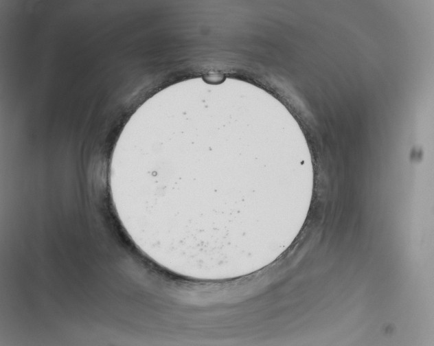 X0000116480021201001201352