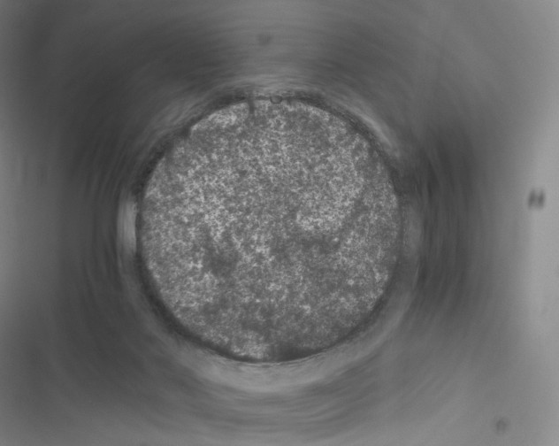 X0000116480022201001201352