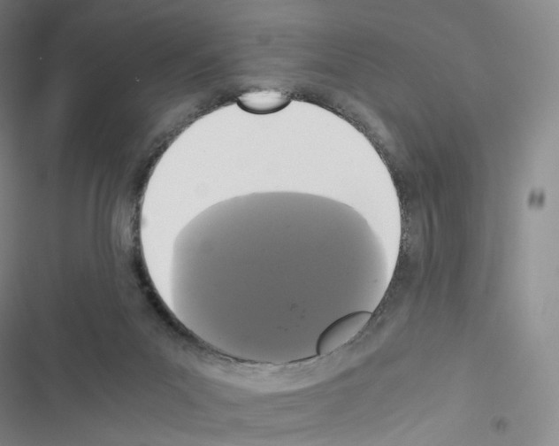 X0000116480023201001201352