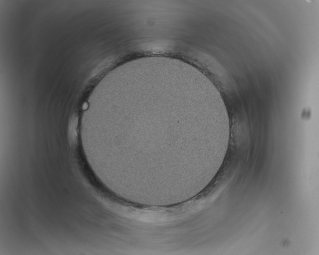 X0000116480024201001201352
